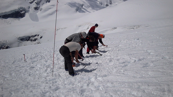 Ledeniški tečaj Grossglockner - iskanje pobegle žolne