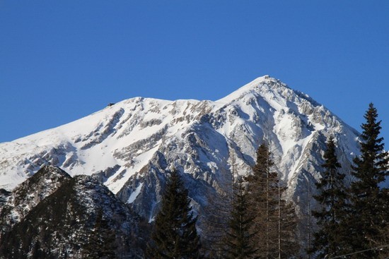 Januarska Zelenica 2012