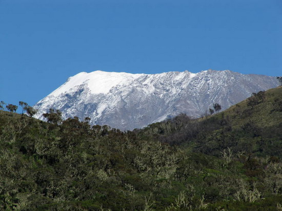 Afrika 2010