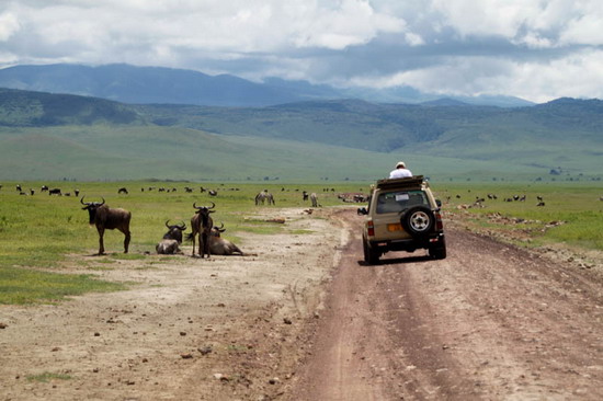 Afrika 2010