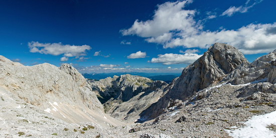 kanjavec