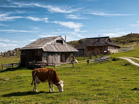 Velika planina
