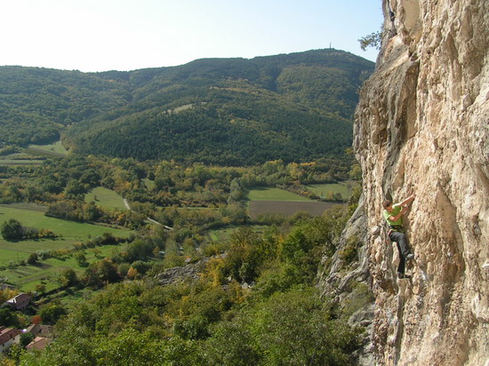 Darko Lačen