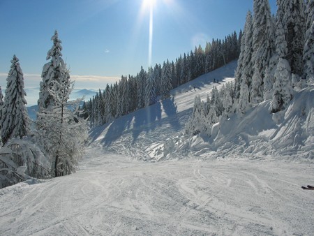 jan_27_09.jpg