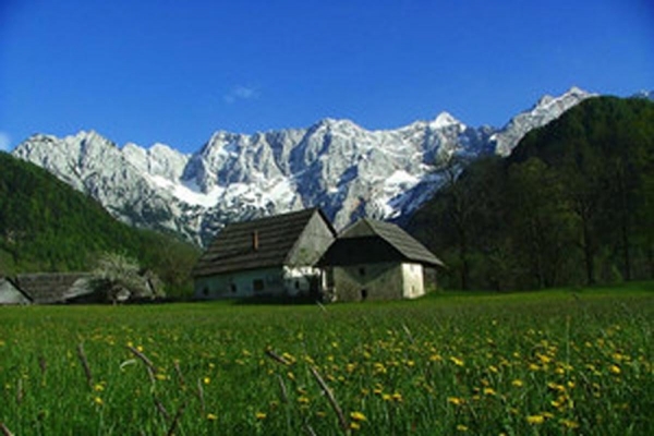 Planinski tabor Jezersko 2006