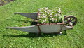 bohinj_3.jpg