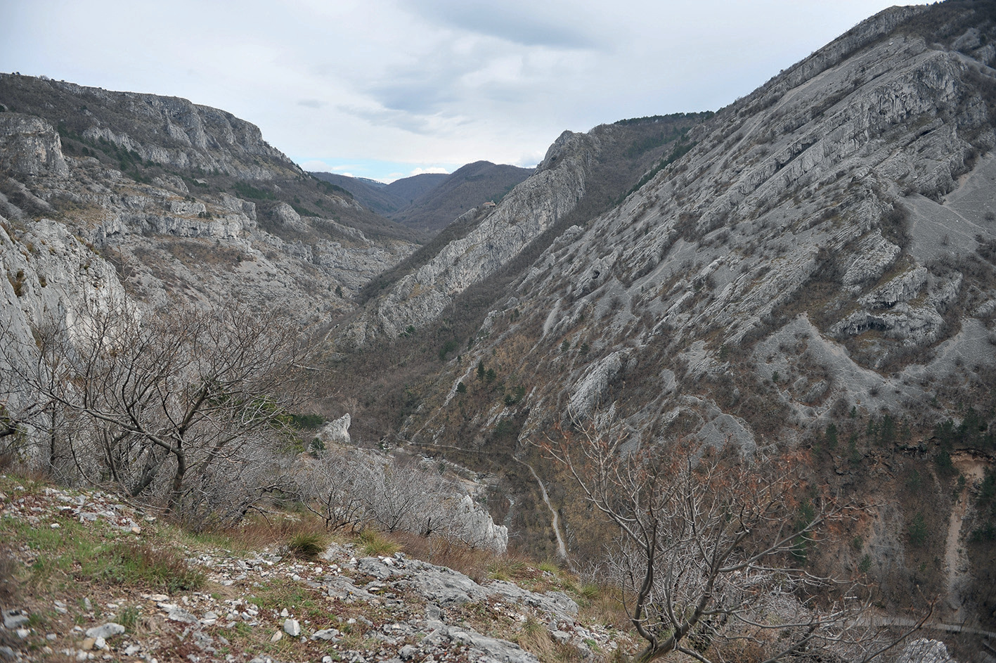 Pogled na dolino Glinščice